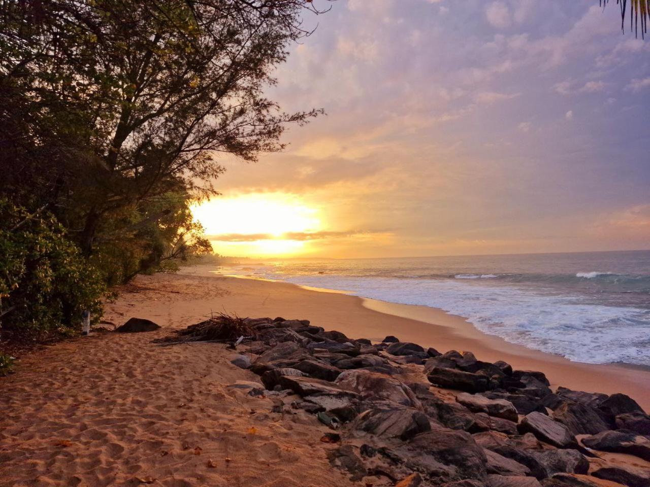 Panorama Beach Hotel Tangalle Eksteriør bilde